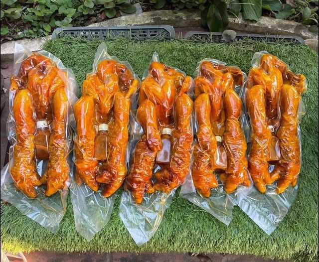 Có thể là hình ảnh về gà chọi